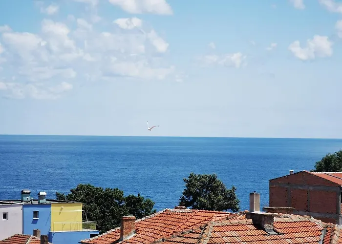 Diana Self Check-in Konukevi 3*