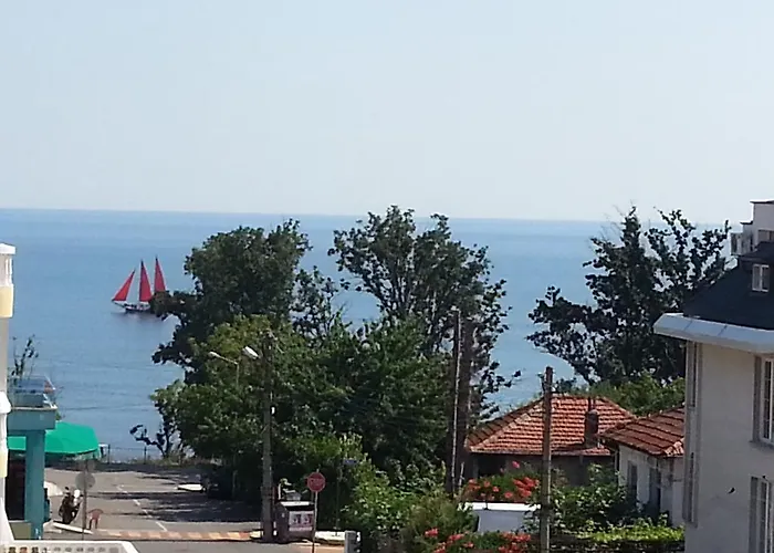 Diana Self Check-in Naousa