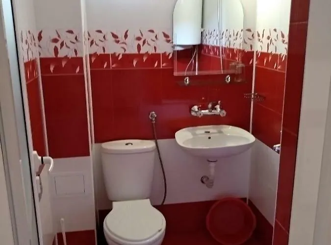 Diana Self Check-in 키텐